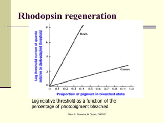 Rhodopsin regeneration




   Log relative threshold as a function of the
   percentage of photopigment bleached
                     Gauri S. Shrestha, M.Optom, FIACLE
 