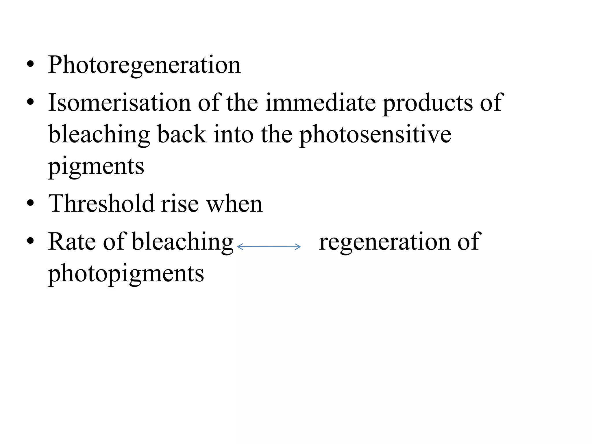 • Photoregeneration
• Isomerisation of the immediate products of
bleaching back into the photosensitive
pigments
• Threshold rise when
• Rate of bleaching regeneration of
photopigments
 