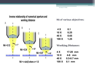 NA of various objectives:
4 X 0.1
10 X 0.25
40 X 0.65
100 X 1.25
Working Distance:
4 X 17-20 mm
10 X 4-8 mm
40 X 0.5-0.7 mm
100 X 0.1 mm
Dr.Balaji P CHMC
 