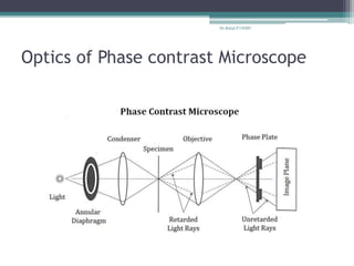 Optics of Phase contrast Microscope
Dr.Balaji P CHMC
 