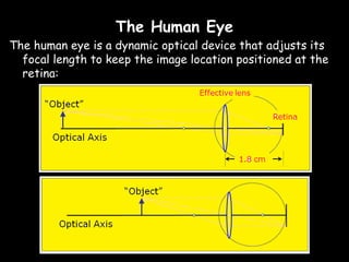 The Human Eye
The human eye is a dynamic optical device that adjusts its
  focal length to keep the image location positioned at the
  retina:
 