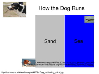 How the Dog Runs




                                           Sand                         Sea



                    http://commons.wikimedia.org/wiki/File:2009-11-19_(31)_Branch,_Ast.JPG
                             http://commons.wikimedia.org/wiki/File:Brittany_Spaniel_Dog.jpg


http://commons.wikimedia.org/wiki/File:Dog_retrieving_stick.jpg
 