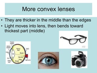 More convex lenses They are thicker in the middle than the edges Light moves into lens, then bends toward thickest part (middle) 