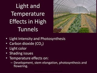 Light and
     Temperature
    Effects in High
        Tunnels
•   Light Intensity and Photosynthesis
•   Carbon dioxide (CO2)
•   Light color
•   Shading issues
•   Temperature effects on:
    – Development, stem elongation, photosynthesis and
      flowering.
                   © 2009 Regents of the University of Minnesota
 