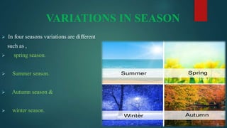 Light and temperature, light and temperature as ecological factors | PPTX