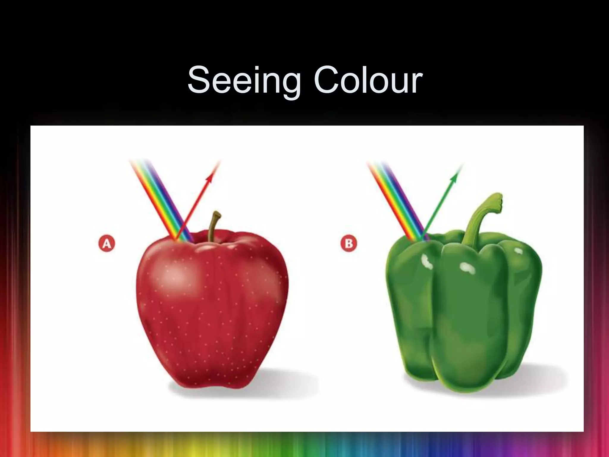 Seeing Colour