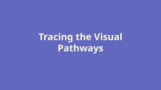 Light and Vision Education Presentation in Blue Violet Flat Cartoon ...