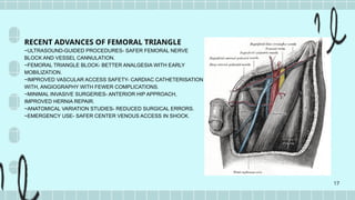 Triangular Nerve Block Patch Comprehensive Anatomy and Clinical Significance of the Femoral Triangle ...
