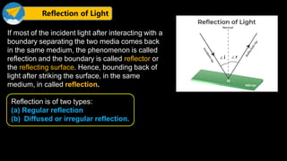 Light | PDF