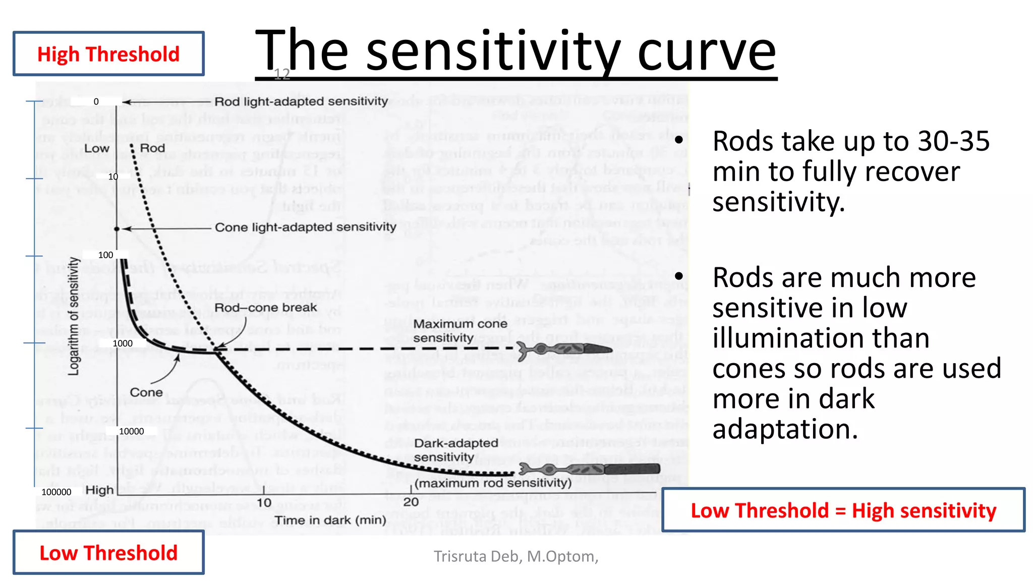 The sensitivity curve
Trisruta Deb, M.Optom,
12
• Rods take up to 30-35
min to fully recover
sensitivity.
• Rods are much more
sensitive in low
illumination than
cones so rods are used
more in dark
adaptation.
Low Threshold = High sensitivity
Low Threshold
High Threshold
100000
10000
1000
100
10
0
 
