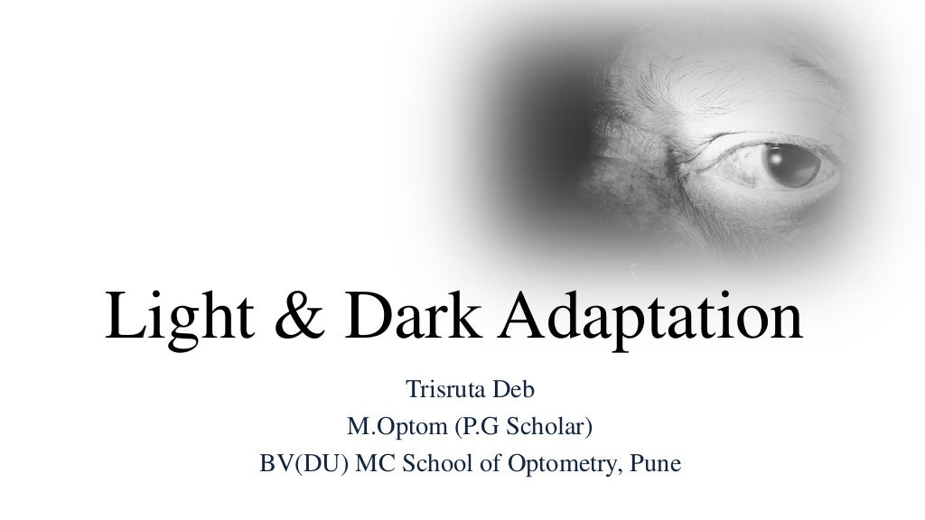 Light and Dark Adaptation