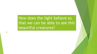 How does the light behave so
that we can be able to see this
beautiful creatures?
 