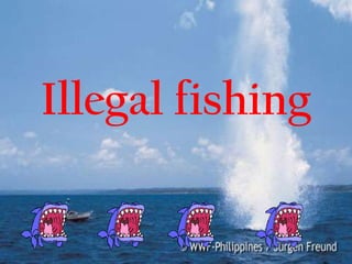 Illegal fishing
 