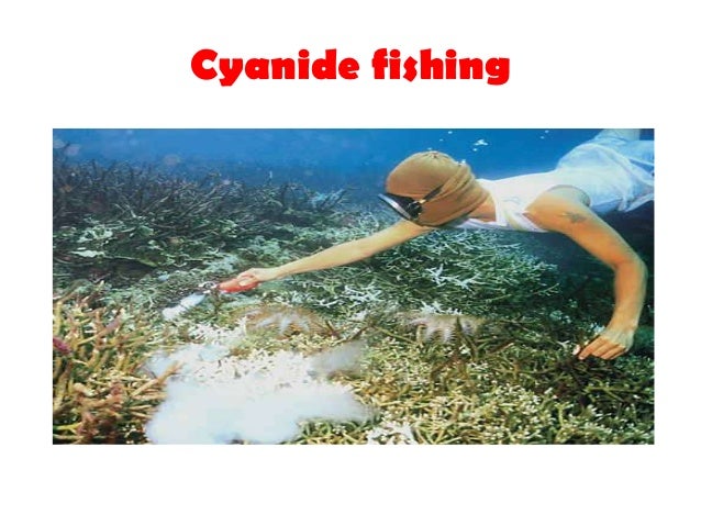 Light fishing