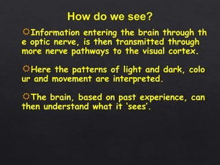 Information entering the brain through th
e optic nerve, is then transmitted through
more nerve pathways to the visual cortex.
Here the patterns of light and dark, colo
ur and movement are interpreted.
The brain, based on past experience, can
then understand what it ‘sees’.
 