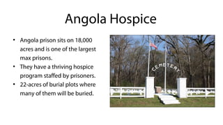 ●
Angola prison sits on 18,000
acres and is one of the largest
max prisons.
●
They have a thriving hospice
program staffed by prisoners.
●
22-acres of burial plots where
many of them will be buried.
Angola Hospice
 