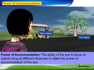 Power of Accommodation
Power of Accommodation: The ability of the eye to focus on
objects lying at different distances is called the power of
accommodation of the eye.
Near object
Far object
 