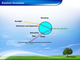 Rainbow formation
Raindrop
Violet
Sunlight
Refraction and dispersion
Internal reflection
Observer
Refraction
Red
 