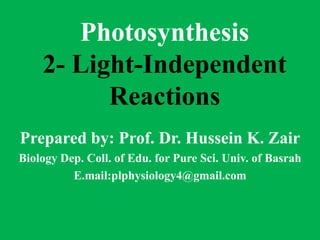 Photosynthesis
2- Light-Independent
Reactions
Prepared by: Prof. Dr. Hussein K. Zair
Biology Dep. Coll. of Edu. for Pure Sci. Univ. of Basrah
E.mail:plphysiology4@gmail.com
 