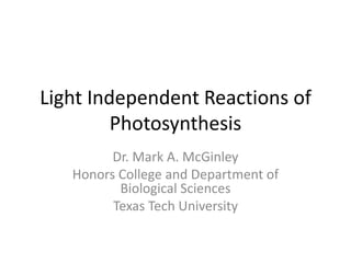 Light Independent Reactions of
         Photosynthesis
         Dr. Mark A. McGinley
   Honors College and Department of
          Biological Sciences
         Texas Tech University
 