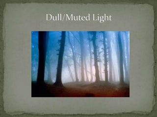 Dull/Muted Light