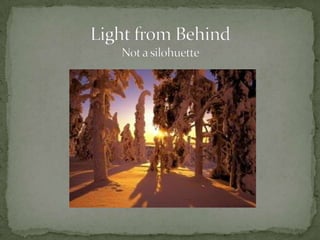 Light from BehindNot a silohuette
