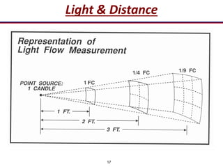 17
Light & Distance
 