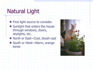 Natural Light
First light source to consider.
Sunlight that enters the house
through windows, doors,
skylights, etc.
North or East—Cool, bluish cast
South or West—Warm, orange
tones
