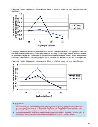 Key points:
• Comfort behaviors such as dustbathing, feather ruffling, preening, stretching and wing flapping
are expressed in the absence of distress and suffering and when all other basic needs are met.
They are therefore considered to be important indicators of welfare.
• All comfort behaviors were decreased when daylength was increased beyond 17 hours of light. In
many cases comfort behaviors virtually disappeared in birds given 23 hours of light.
 