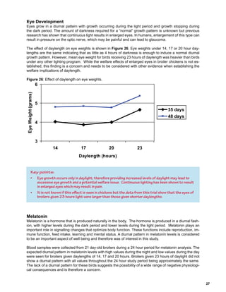 Key points:
• Eye growth occurs only in daylight, therefore providing increased levels of daylight may lead to
excessive eye growth and a potential welfare issue. Continuous lighting has been shown to result
in enlarged eyes which may result in pain.
• It is not known if this effect is seen in chickens but the data from this trial show that the eyes of
broilers given 23 hours light were larger than those given shorter daylengths.
 