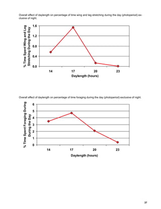 Lighting for broilers 