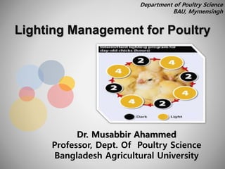 Dr. Musabbir Ahammed
Professor, Dept. Of Poultry Science
Bangladesh Agricultural University
Lighting Management for Poultry
Department of Poultry Science
BAU, Mymensingh
 