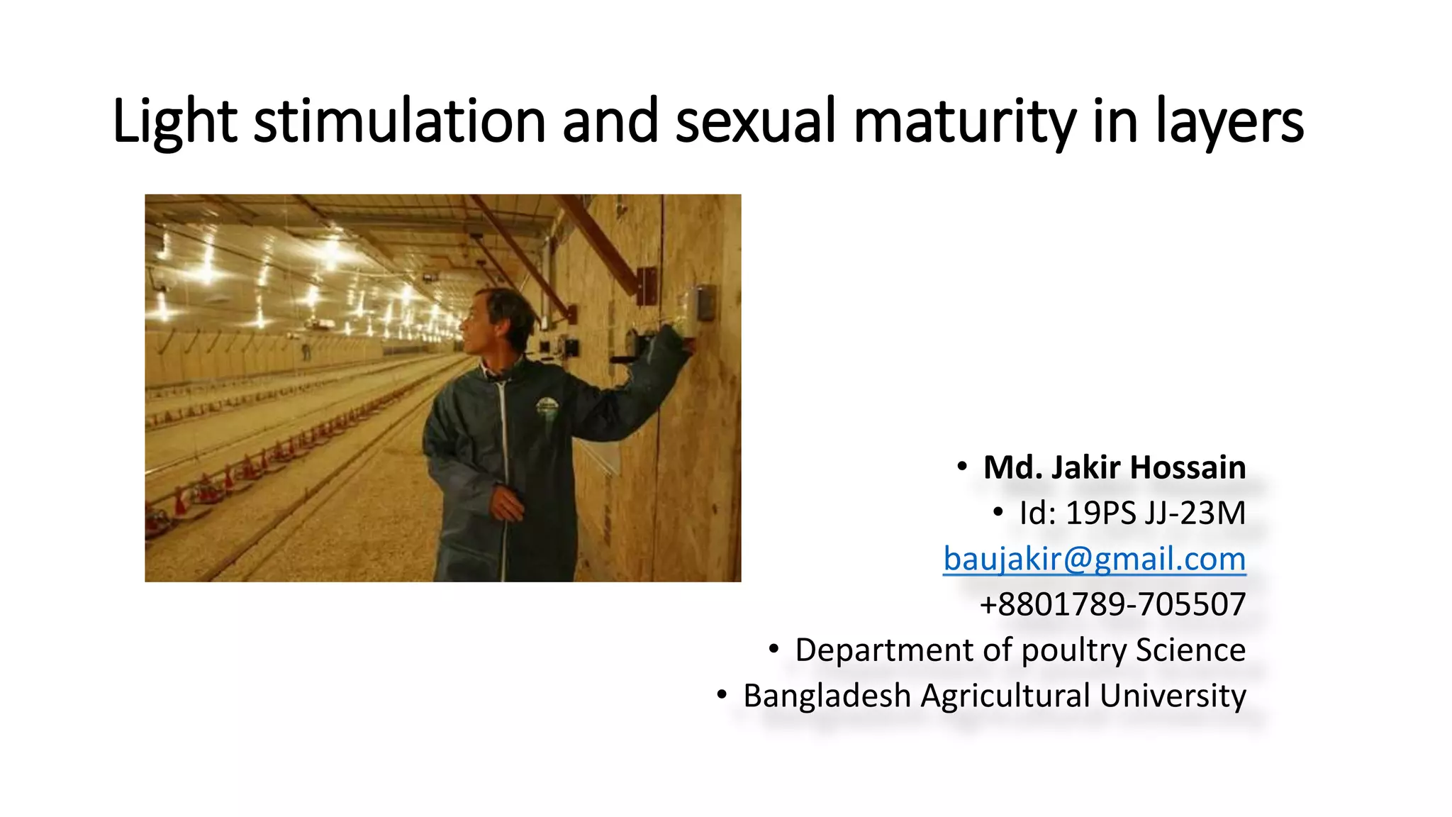 Light stimulation and sexual maturity in layers
• Md. Jakir Hossain
• Id: 19PS JJ-23M
baujakir@gmail.com
+8801789-705507
• Department of poultry Science
• Bangladesh Agricultural University
 
