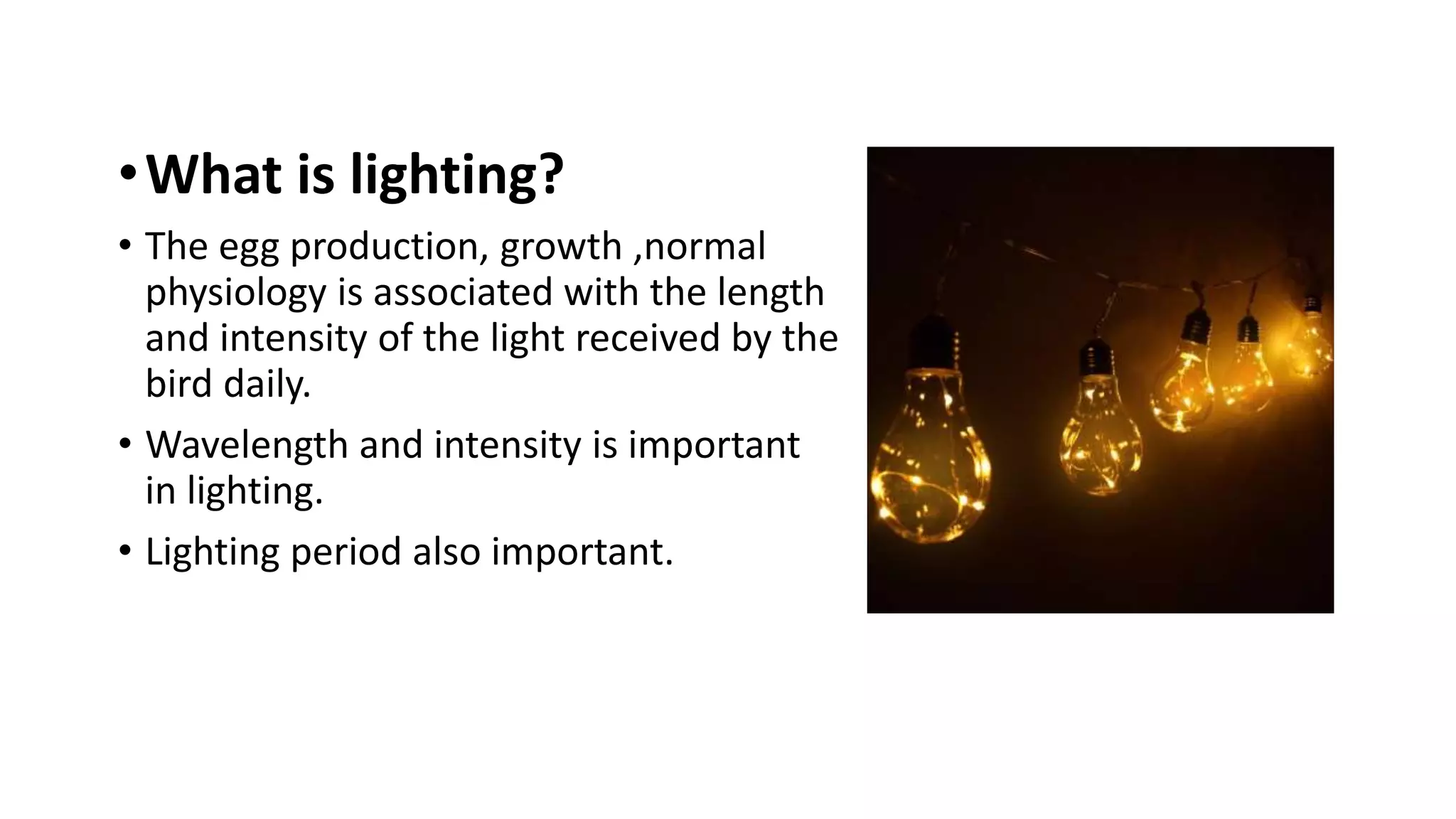 •What is lighting?
• The egg production, growth ,normal
physiology is associated with the length
and intensity of the light received by the
bird daily.
• Wavelength and intensity is important
in lighting.
• Lighting period also important.
 