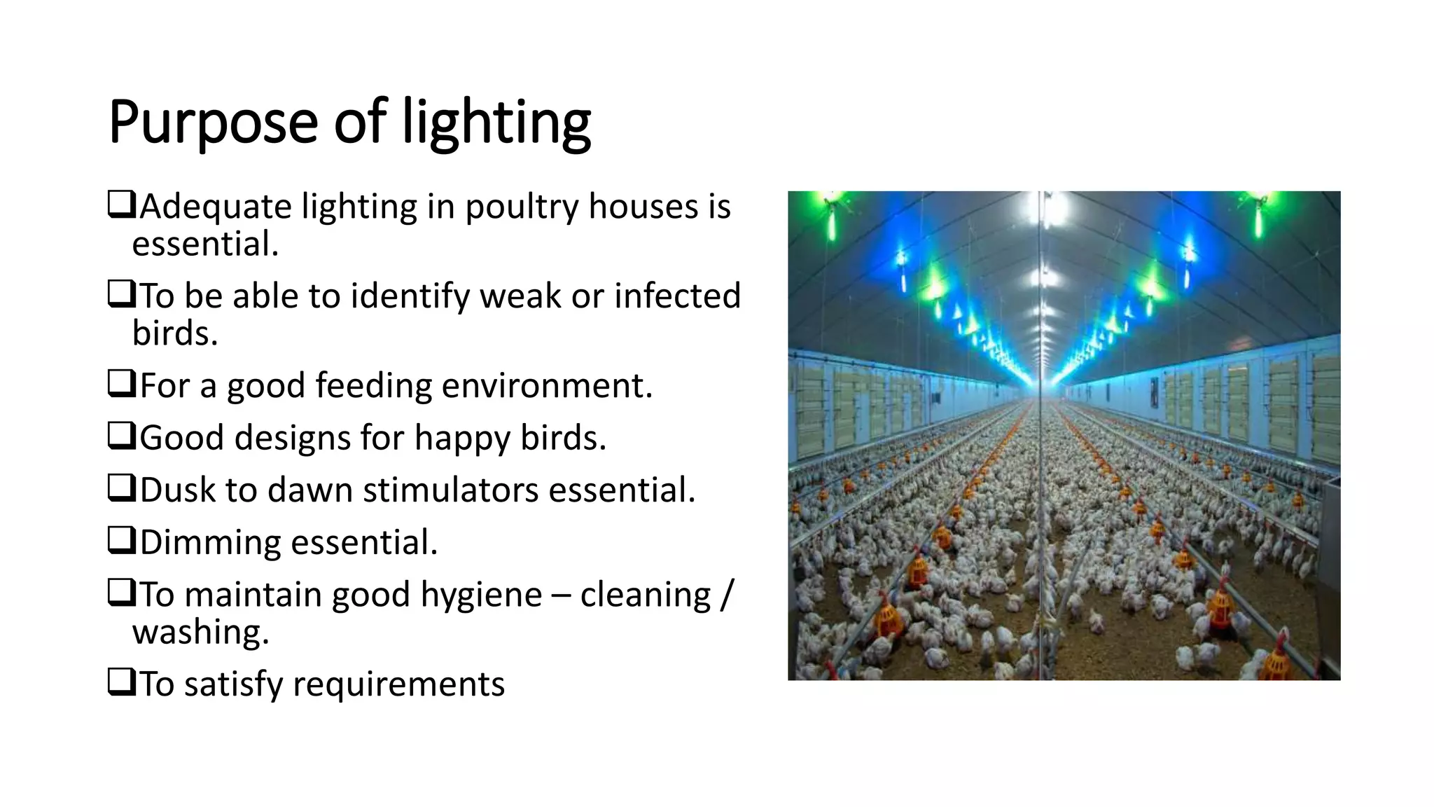 Purpose of lighting
Adequate lighting in poultry houses is
essential.
To be able to identify weak or infected
birds.
For a good feeding environment.
Good designs for happy birds.
Dusk to dawn stimulators essential.
Dimming essential.
To maintain good hygiene – cleaning /
washing.
To satisfy requirements
 
