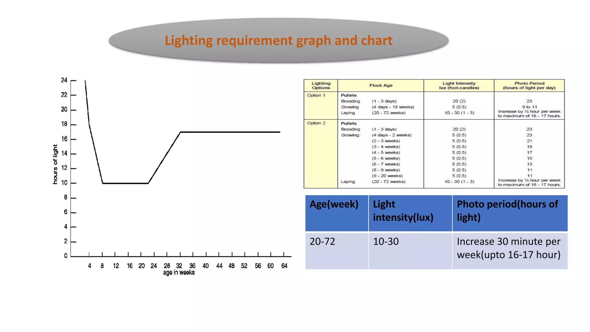 Lighting requirement graph and chart
Age(week) Light
intensity(lux)
Photo period(hours of
light)
20-72 10-30 Increase 30 minute per
week(upto 16-17 hour)
 