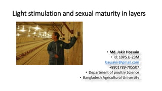 Light stimulation and sexual maturity in layers
• Md. Jakir Hossain
• Id: 19PS JJ-23M
baujakir@gmail.com
+8801789-705507
• Department of poultry Science
• Bangladesh Agricultural University
 