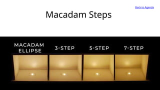 Macadam Steps
Back to Agenda
 