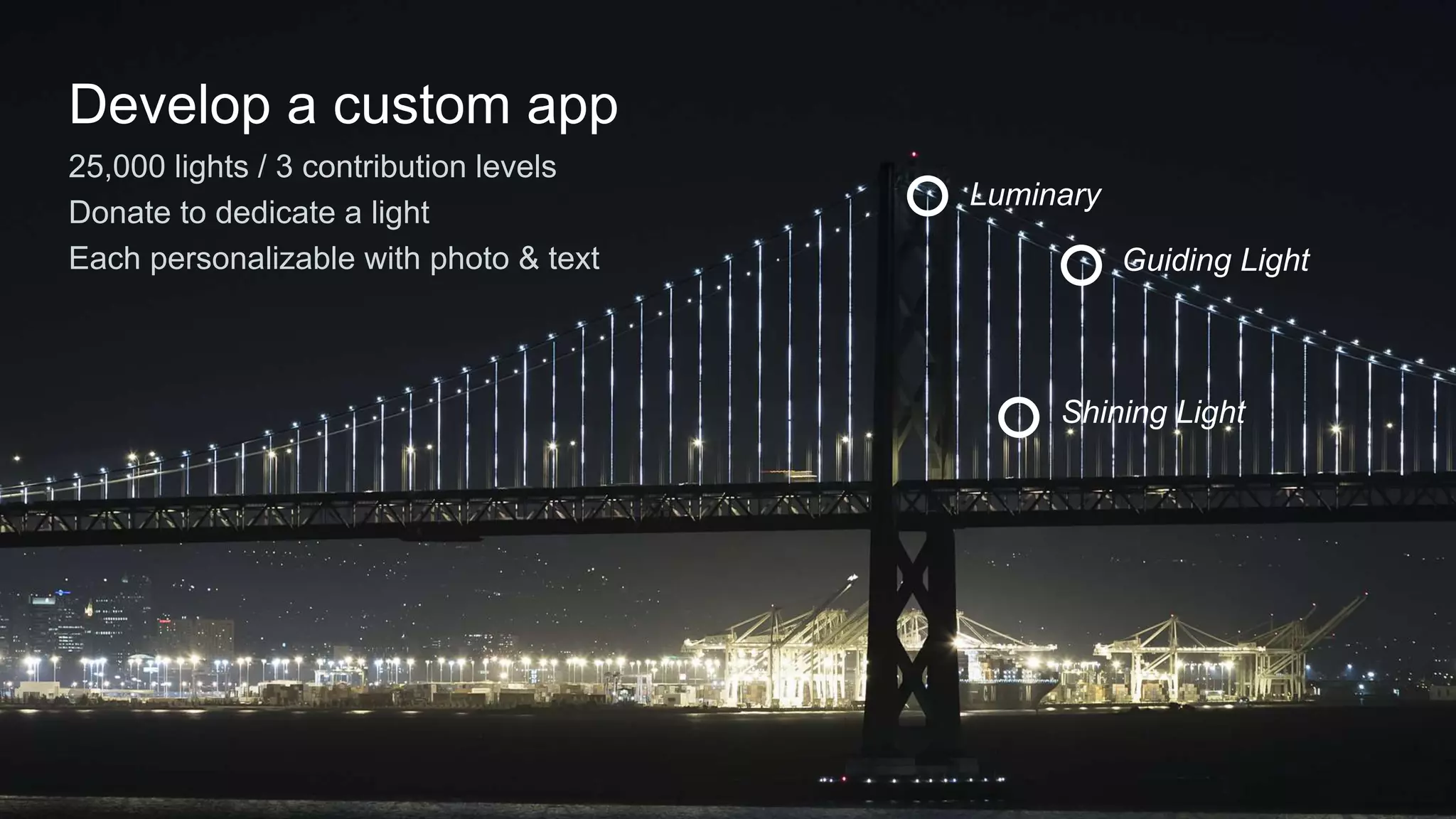 Develop a custom app
25,000 lights / 3 contribution levels
Donate to dedicate a light
Each personalizable with photo & text
Luminary
Guiding Light
Shining Light
 