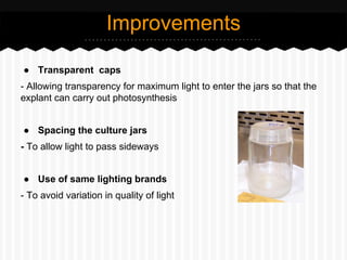 ● Transparent caps
- Allowing transparency for maximum light to enter the jars so that the
explant can carry out photosynthesis
● Spacing the culture jars
- To allow light to pass sideways
● Use of same lighting brands
- To avoid variation in quality of light
Improvements
 