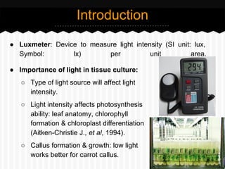 ● Luxmeter: Device to measure light intensity (SI unit: lux,
Symbol: lx) per unit area.
Introduction
● Importance of light in tissue culture:
○ Type of light source will affect light
intensity.
○ Light intensity affects photosynthesis
ability: leaf anatomy, chlorophyll
formation & chloroplast differentiation
(Aitken-Christie J., et al, 1994).
○ Callus formation & growth: low light
works better for carrot callus.
 