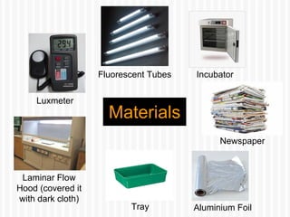 Materials
Luxmeter
Fluorescent Tubes Incubator
Laminar Flow
Hood (covered it
with dark cloth)
Tray Aluminium Foil
Newspaper
 