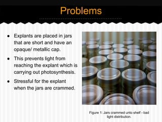 ● Explants are placed in jars
that are short and have an
opaque/ metallic cap.
● This prevents light from
reaching the explant which is
carrying out photosynthesis.
● Stressful for the explant
when the jars are crammed.
Problems
Figure 1: Jars crammed unto shelf - bad
light distribution.
 