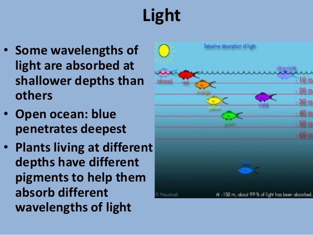 ocean light