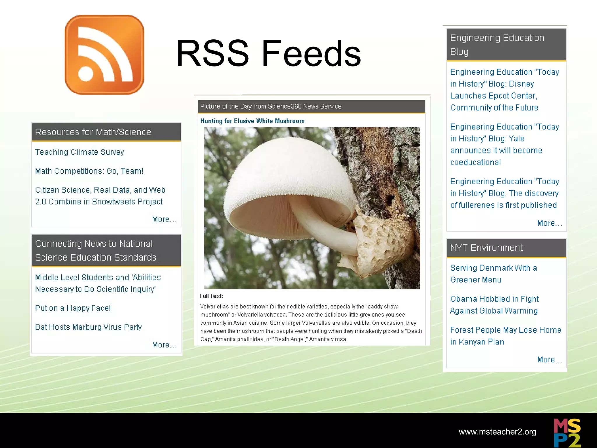RSS Feeds 