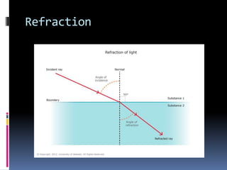 Refraction In Microscope Light microscope | PPTX