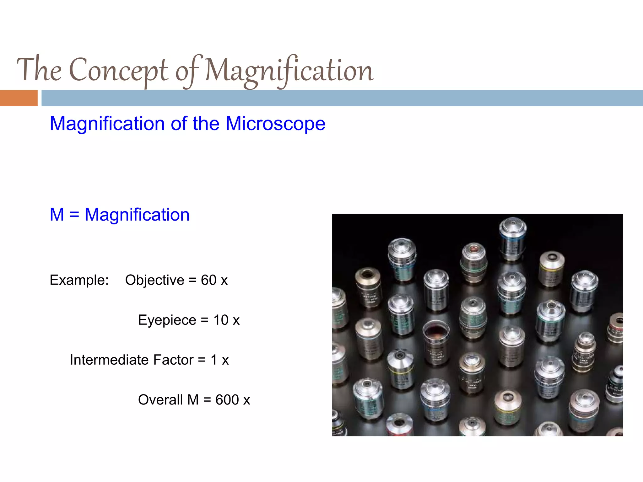 The Concept of Magnification
Magnification of the Microscope
M Microscope = M Objective X M Eyepiece X M Intermediate Factor
M = Magnification
Example: Objective = 60 x
Eyepiece = 10 x
Intermediate Factor = 1 x
Overall M = 600 x
 