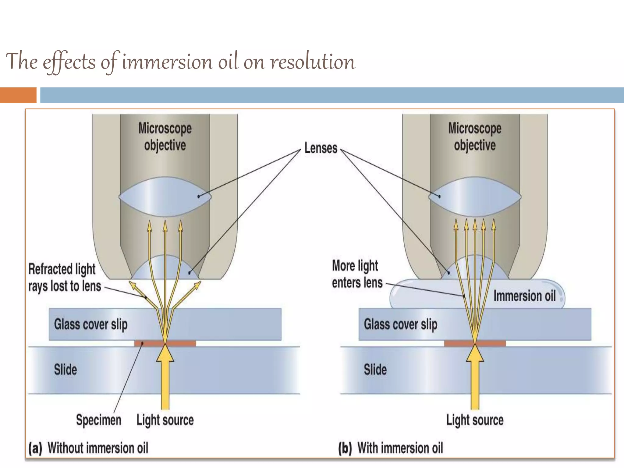 The effects of immersion oil on resolution
 