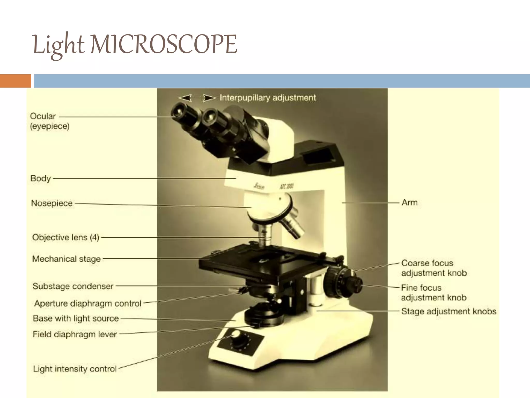 Light MICROSCOPE
 