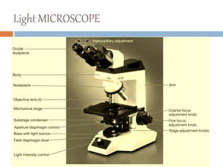 Light microscope | PPTX